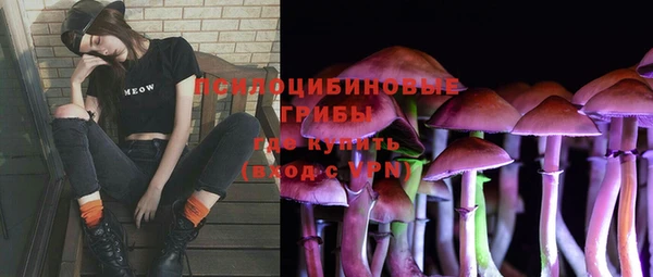 герыч Алексин