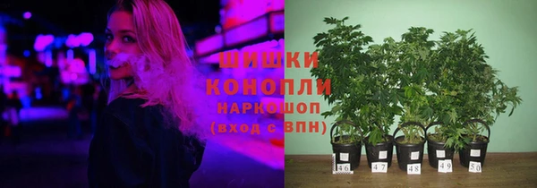 дживик Алзамай