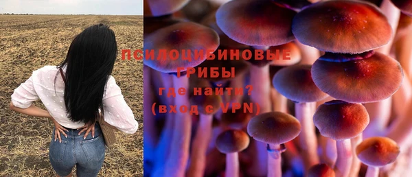 сатива Няндома
