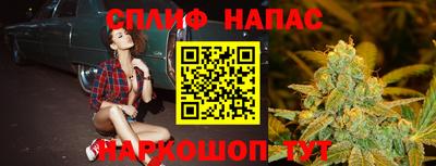 спиды Моздок