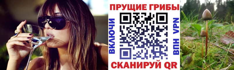 нарко площадка какой сайт  Усолье-Сибирское  Галлюциногенные грибы мухоморы 