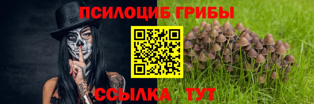 Псилоцибиновые грибы GOLDEN TEACHER  Вход с VPN  Усолье-Сибирское  Галлюциногенные грибы мицелий 